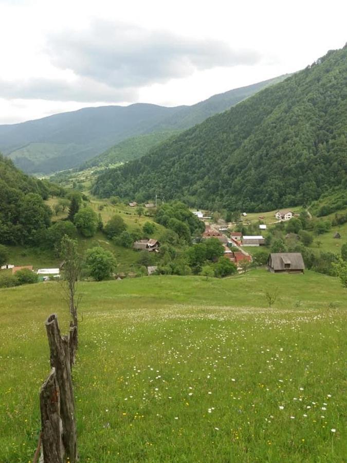 Pensiunea Valea Pinului Rau Sadului Dış mekan fotoğraf