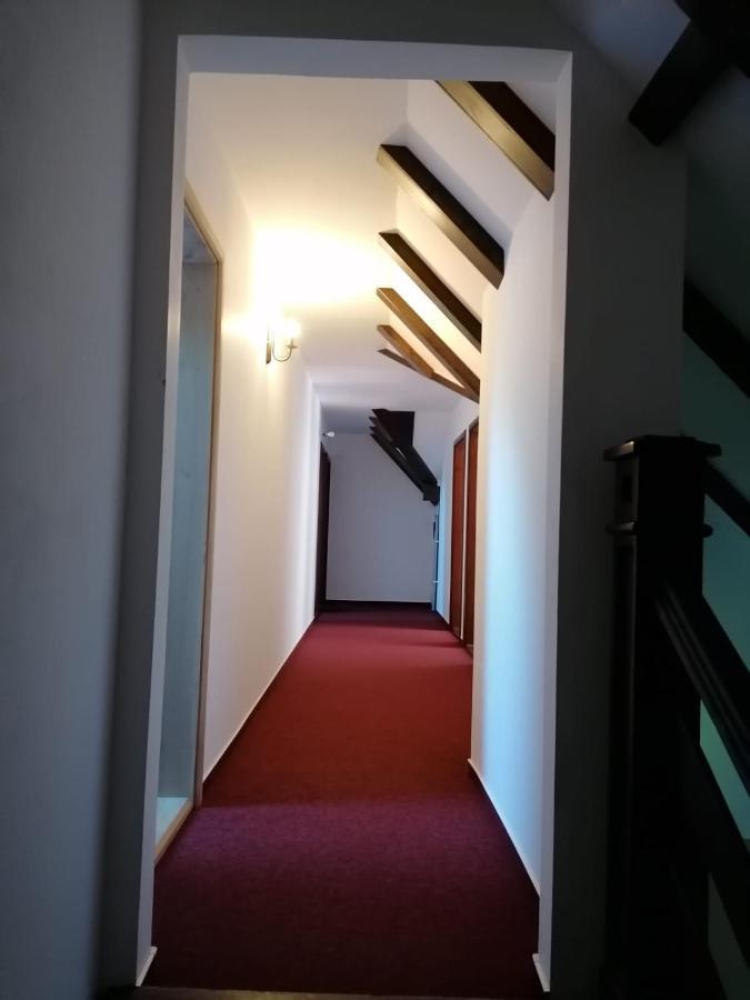 Pensiunea Valea Pinului Rau Sadului Dış mekan fotoğraf