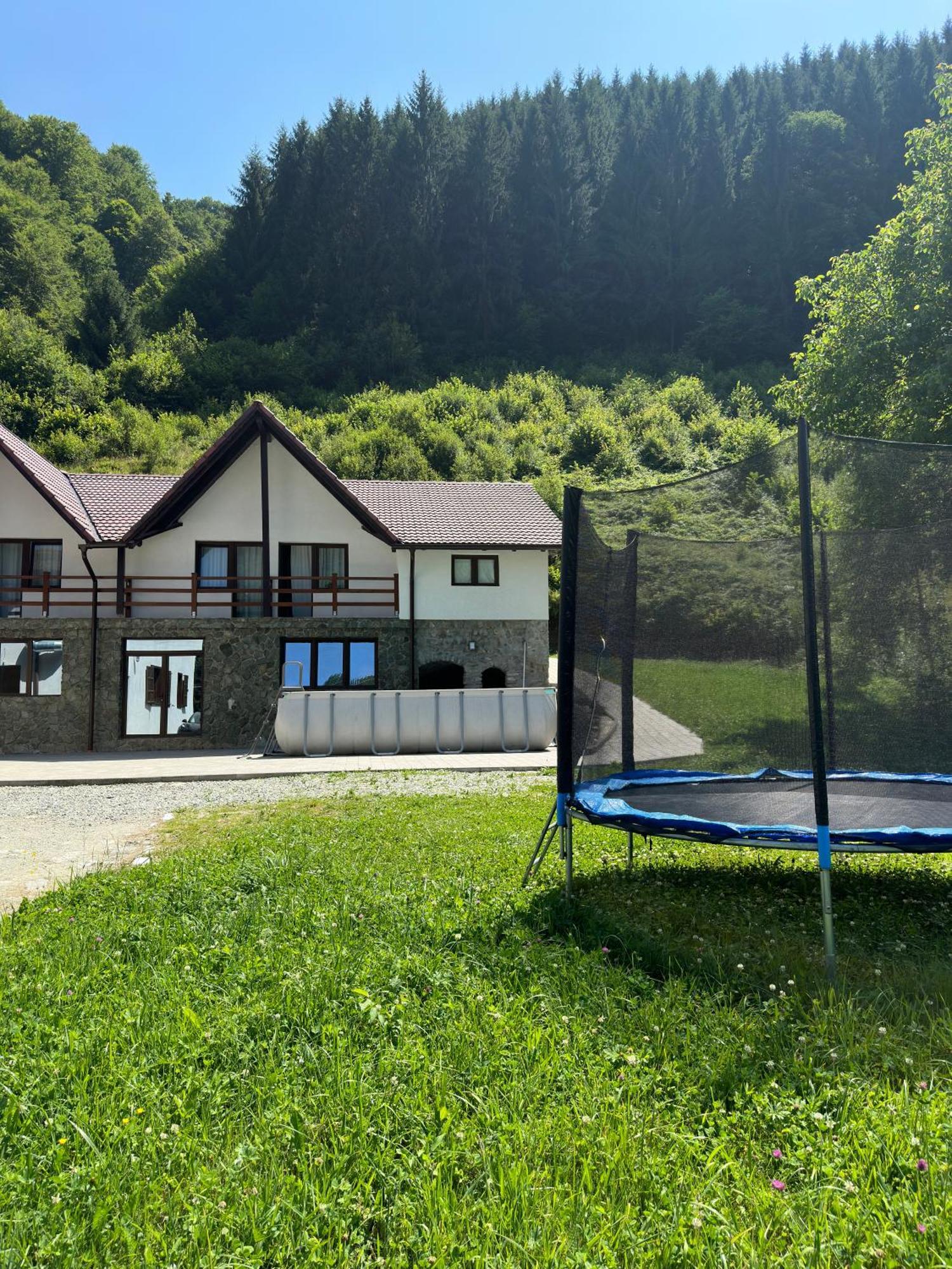 Pensiunea Valea Pinului Rau Sadului Dış mekan fotoğraf
