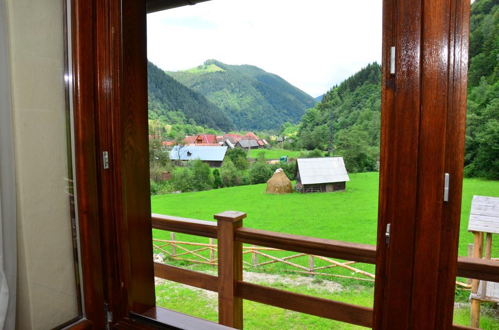 Pensiunea Valea Pinului Rau Sadului Dış mekan fotoğraf