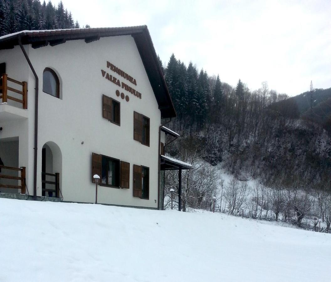 Pensiunea Valea Pinului Rau Sadului Dış mekan fotoğraf